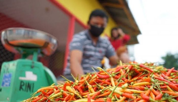 Jelang Musim Hujan, Harga Cabe Kota Bekasi Makin Pedas
